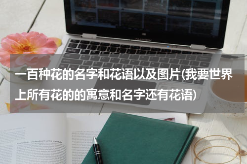 一百种花的名字和花语以及图片(我要世界上所有花的的寓意和名字还有花语)