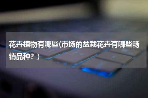 花卉植物有哪些(市场的盆栽花卉有哪些畅销品种？)
