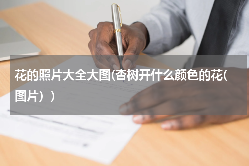 花的照片大全大图(杏树开什么颜色的花(图片）)