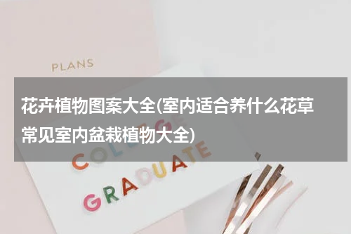 花卉植物图案大全(室内适合养什么花草 常见室内盆栽植物大全)