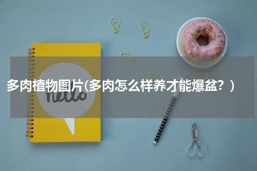 多肉植物图片(多肉怎么样养才能爆盆？)