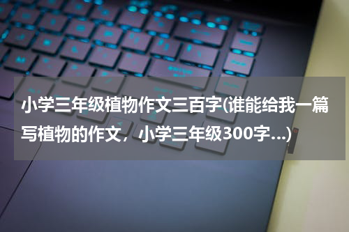 小学三年级植物作文三百字(谁能给我一篇写植物的作文，小学三年级300字…)