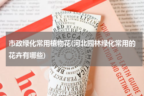 市政绿化常用植物花(河北园林绿化常用的花卉有哪些)