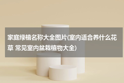 家庭绿植名称大全图片(室内适合养什么花草 常见室内盆栽植物大全)