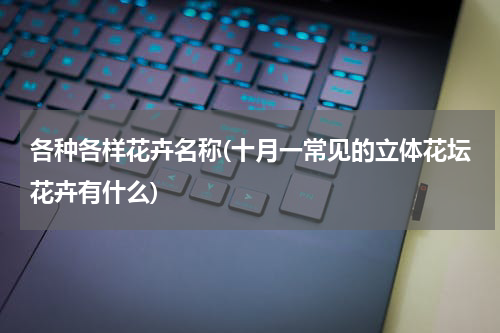 各种各样花卉名称(十月一常见的立体花坛花卉有什么)