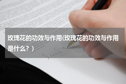玫瑰花的功效与作用(玫瑰花的功效与作用是什么？)