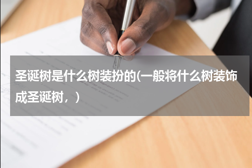 圣诞树是什么树装扮的(一般将什么树装饰成圣诞树，)