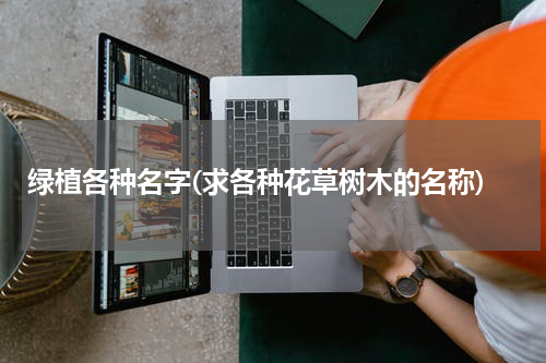 绿植各种名字(求各种花草树木的名称)