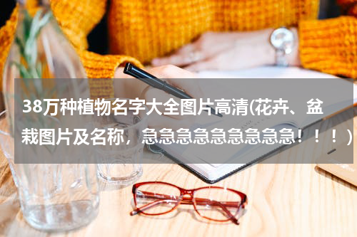 38万种植物名字大全图片高清(花卉、盆栽图片及名称，急急急急急急急急急！！！)