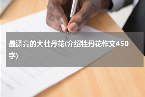 最漂亮的大牡丹花(介绍牲丹花作文450字)