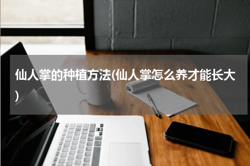 仙人掌的种植方法(仙人掌怎么养才能长大)