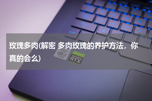 玫瑰多肉(解密 多肉玫瑰的养护方法，你真的会么)