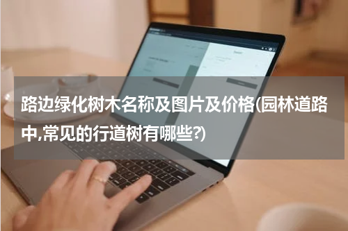 路边绿化树木名称及图片及价格(园林道路中,常见的行道树有哪些?)
