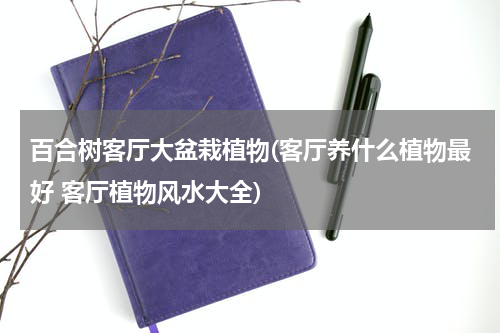 百合树客厅大盆栽植物(客厅养什么植物最好 客厅植物风水大全)
