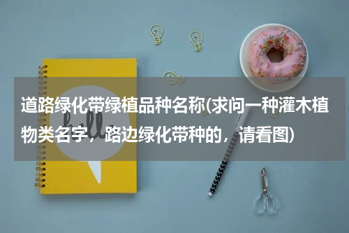 道路绿化带绿植品种名称(求问一种灌木植物类名字，路边绿化带种的，请看图)