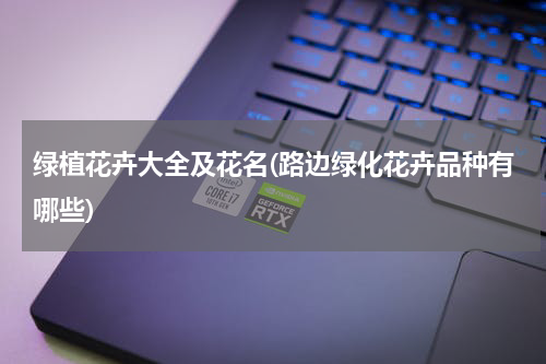 绿植花卉大全及花名(路边绿化花卉品种有哪些)