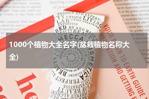 1000个植物大全名字(盆栽植物名称大全)