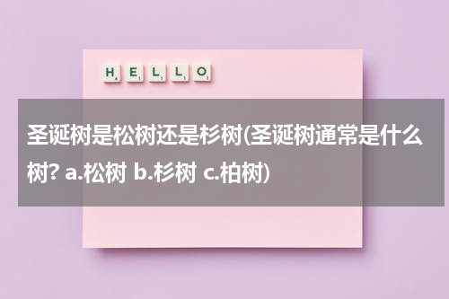 圣诞树是松树还是杉树(圣诞树通常是什么树? a.松树 b.杉树 c.柏树)