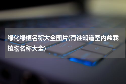 绿化绿植名称大全图片(有谁知道室内盆栽植物名称大全)
