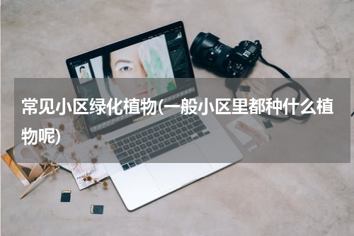 常见小区绿化植物(一般小区里都种什么植物呢)