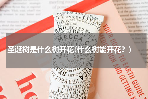 圣诞树是什么树开花(什么树能开花？)