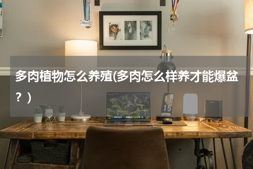 多肉植物怎么养殖(多肉怎么样养才能爆盆？)