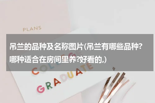 吊兰的品种及名称图片(吊兰有哪些品种?哪种适合在房间里养?好看的,)