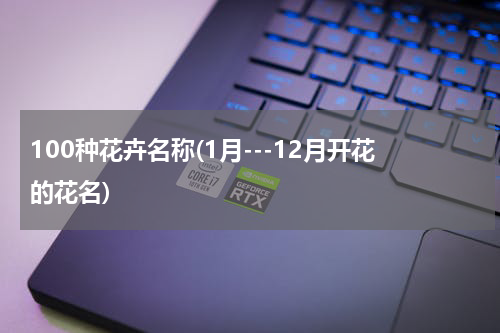 100种花卉名称(1月---12月开花的花名)