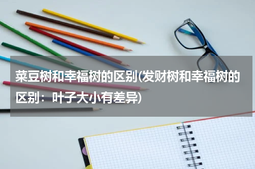 菜豆树和幸福树的区别(发财树和幸福树的区别：叶子大小有差异)