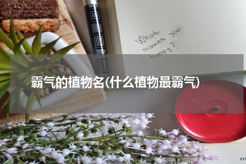 霸气的植物名(什么植物最霸气)