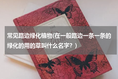 常见路边绿化植物(在一般路边一条一条的绿化的用的草叫什么名字？)