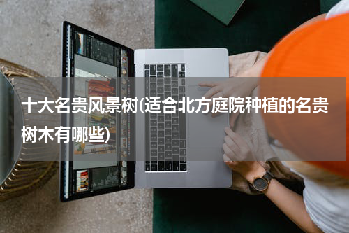 十大名贵风景树(适合北方庭院种植的名贵树木有哪些)
