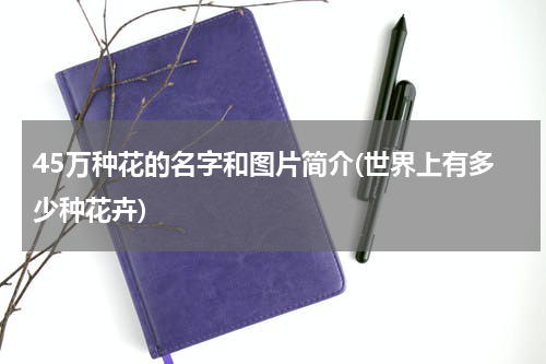 45万种花的名字和图片简介(世界上有多少种花卉)