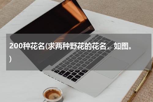 200种花名(求两种野花的花名，如图。)