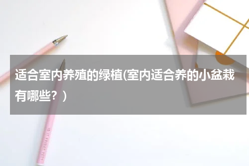 适合室内养殖的绿植(室内适合养的小盆栽有哪些？)