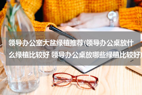 领导办公室大盆绿植推荐(领导办公桌放什么绿植比较好 领导办公桌放哪些绿植比较好)