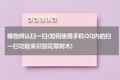 植物辨认扫一扫(如何使用手机QQ内的扫一扫功能来识别花草树木)