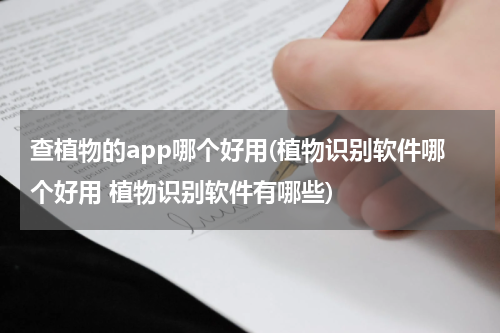 查植物的app哪个好用(植物识别软件哪个好用 植物识别软件有哪些)