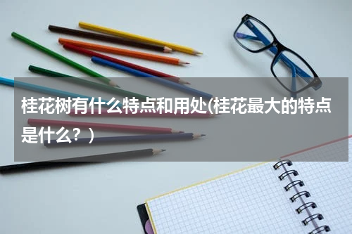 桂花树有什么特点和用处(桂花最大的特点是什么？)