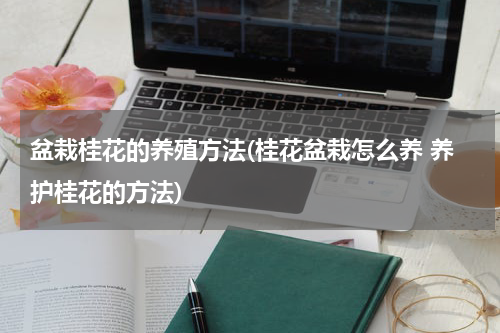 盆栽桂花的养殖方法(桂花盆栽怎么养 养护桂花的方法)