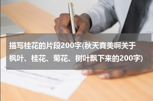 描写桂花的片段200字(秋天真美啊关于枫叶、桂花、菊花、树叶飘下来的200字)