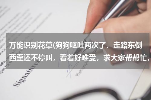 万能识别花草(狗狗呕吐两次了，走路东倒西歪还不停叫，看着好难受，求大家帮帮忙，看看到底什么问题)