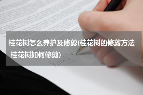 桂花树怎么养护及修剪(桂花树的修剪方法 桂花树如何修剪)