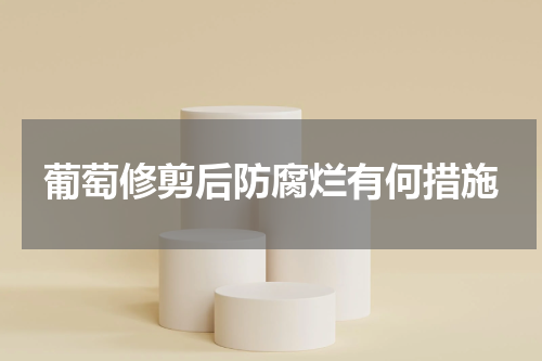 葡萄修剪后防腐烂有何措施