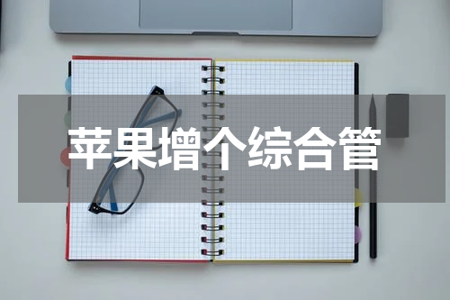 苹果增个综合管