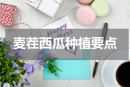 麦茬西瓜种植要点