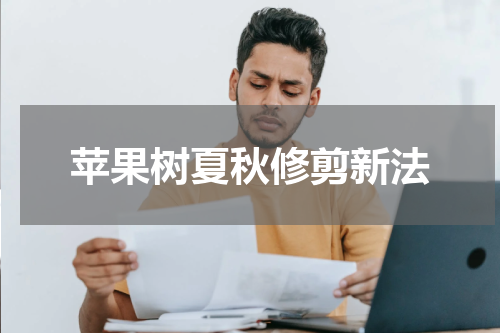 苹果树夏秋修剪新法