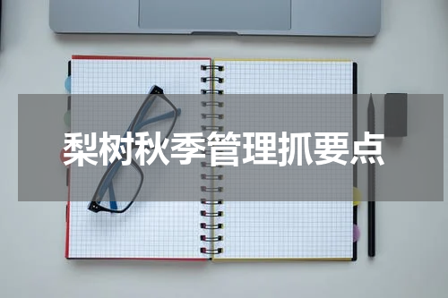 梨树秋季管理抓要点