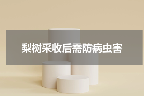 梨树采收后需防病虫害