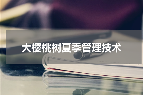 大樱桃树夏季管理技术